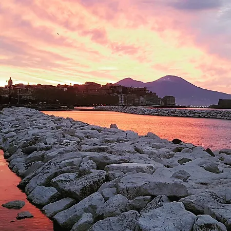 Tree - Lungomare Nápoles