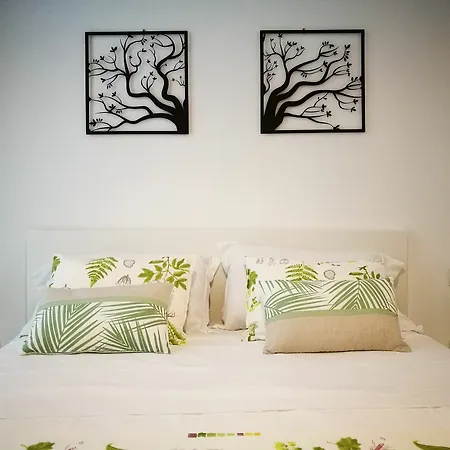 Guest house Tree - Lungomare
