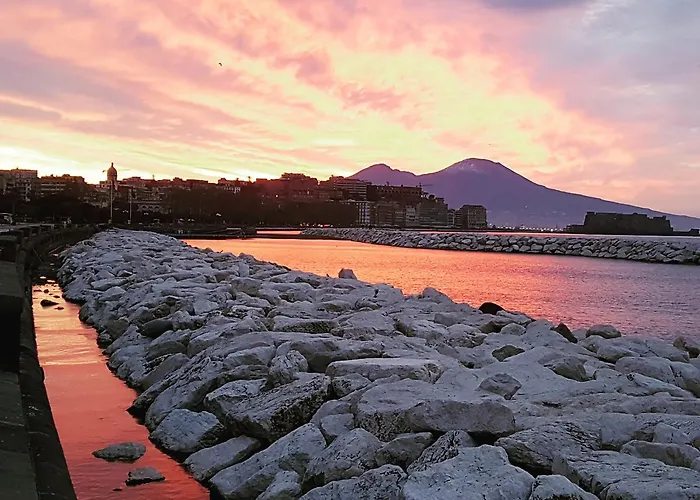 Tree - Lungomare ナポリ